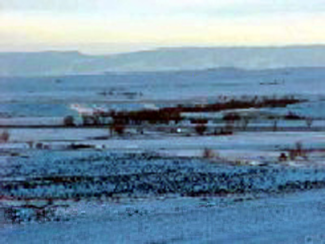 Big Shoulders Blade Coulee